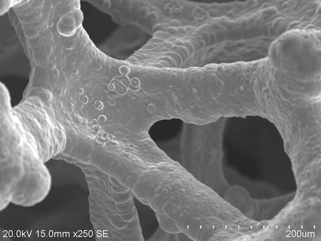 Tantalum (200 nm) Sputtered Nickel Foam